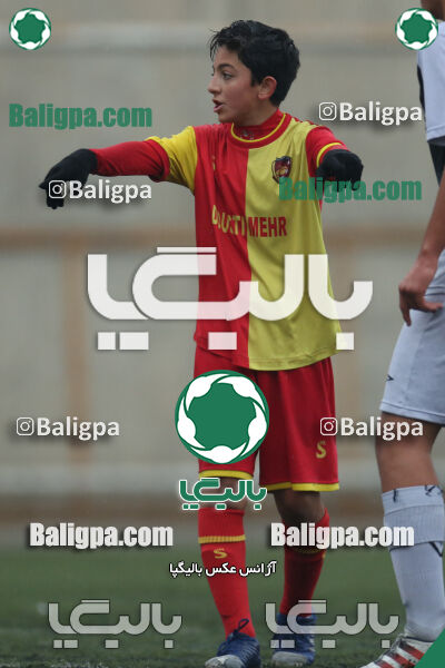 ۱ - ۴ شاهین