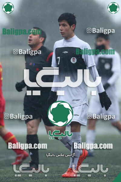 ۱ - ۴ شاهین