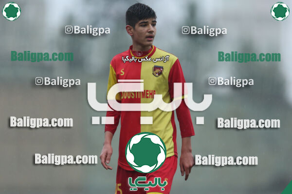 ۱ - ۴ شاهین