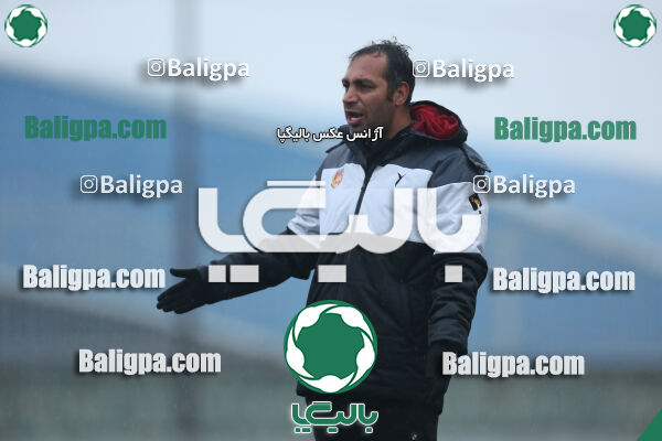 ۱ - ۴ شاهین
