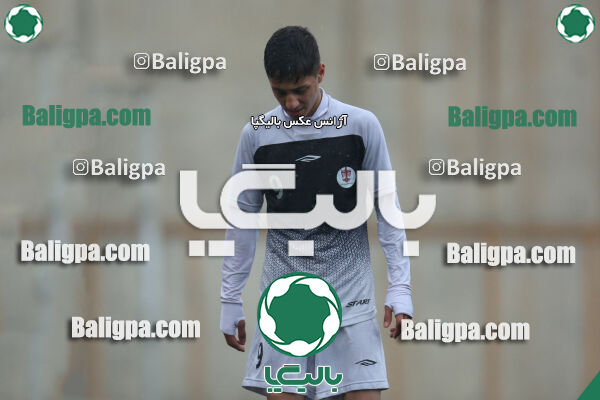 ۱ - ۴ شاهین