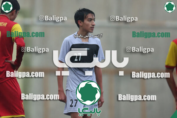 ۱ - ۴ شاهین