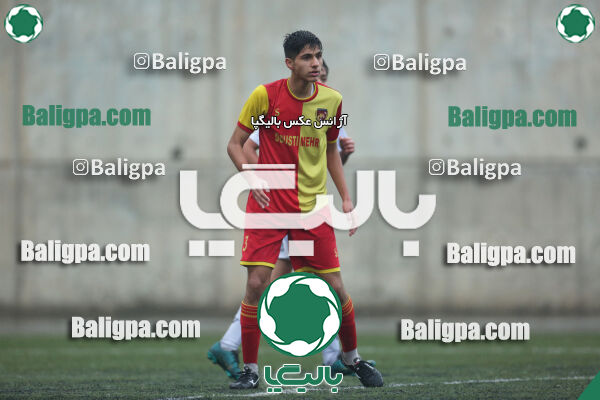 ۱ - ۴ شاهین