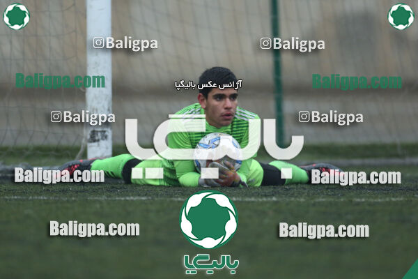 ۱ - ۴ شاهین