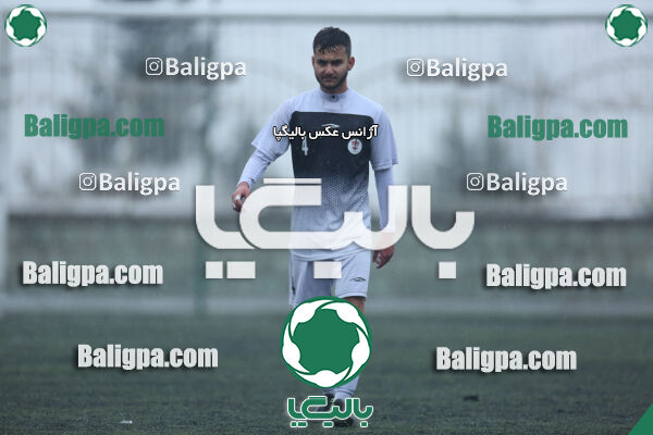 ۱ - ۴ شاهین
