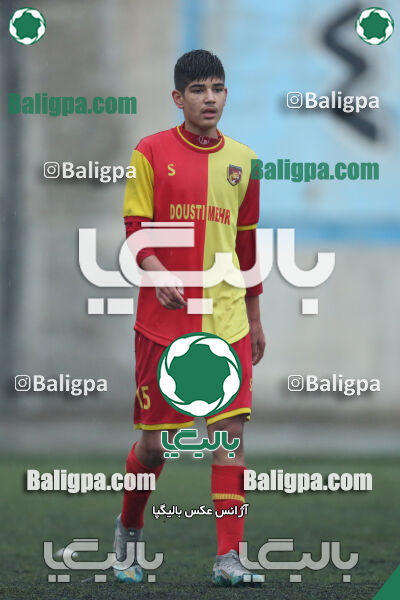 ۱ - ۴ شاهین
