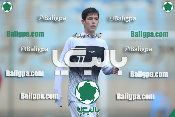 ۱ - ۴ شاهین