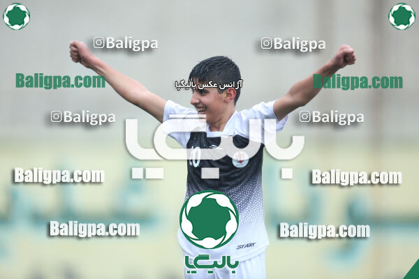 ۱ - ۴ شاهین