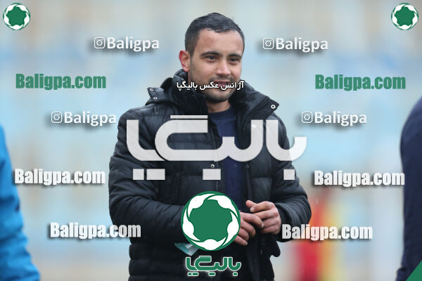۱ - ۴ شاهین