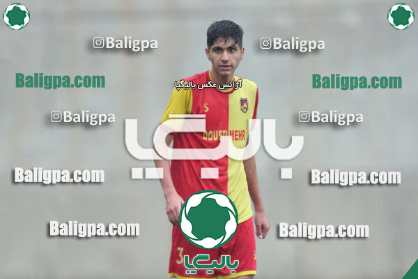۱ - ۴ شاهین