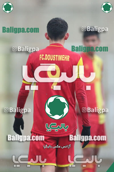 ۱ - ۴ شاهین