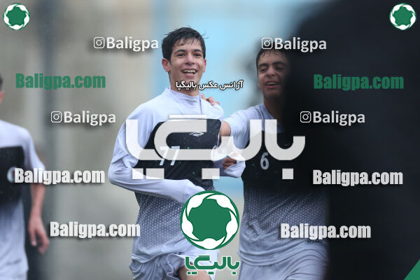 ۱ - ۴ شاهین