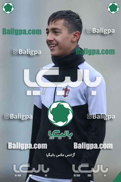 ۱ - ۴ شاهین
