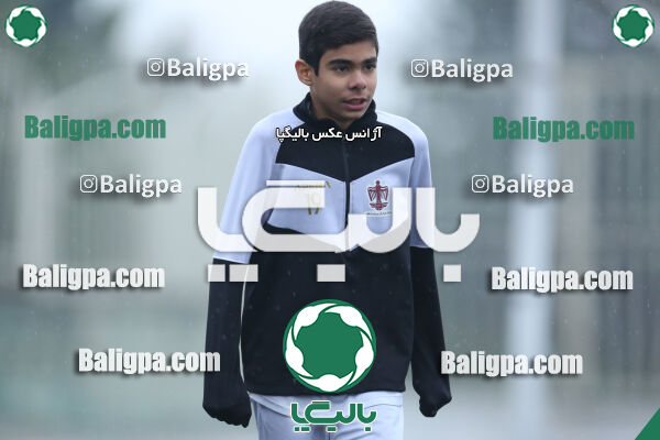 ۱ - ۴ شاهین
