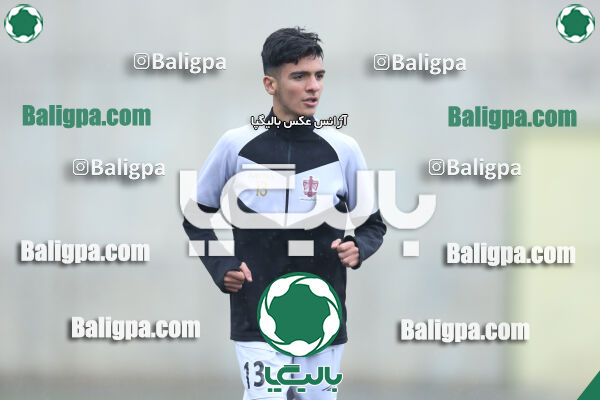 ۱ - ۴ شاهین