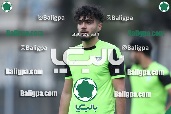 بادران ۱ - ۳ نیروی زمینی