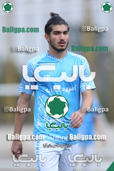 ۰ - ۱ نیروی زمینی