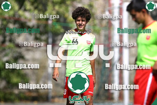 پرسپولیس 1–0 شاهین
