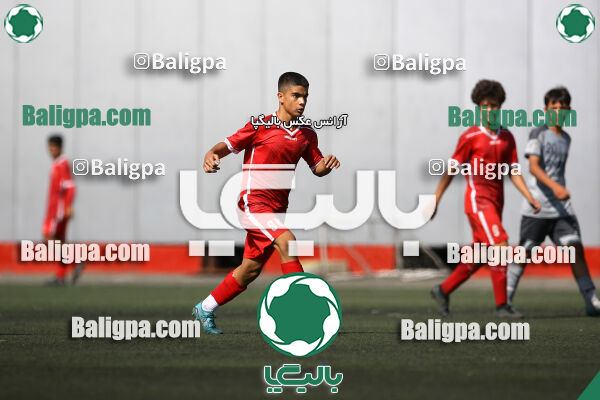 پرسپولیس 1–0 شاهین