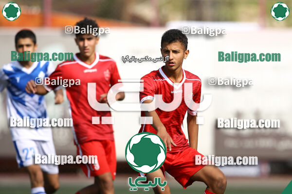پرسپولیس 1–1 پیکان
