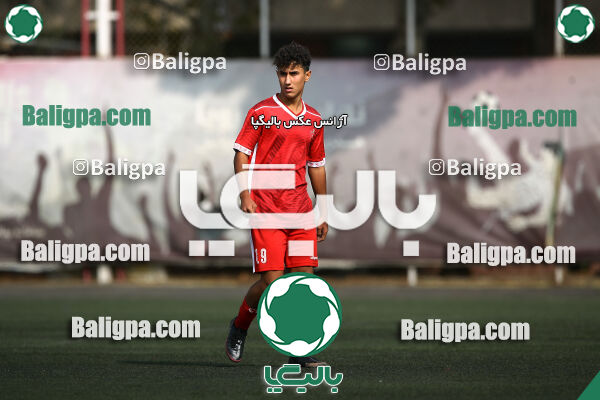 پرسپولیس 1–1 پیکان