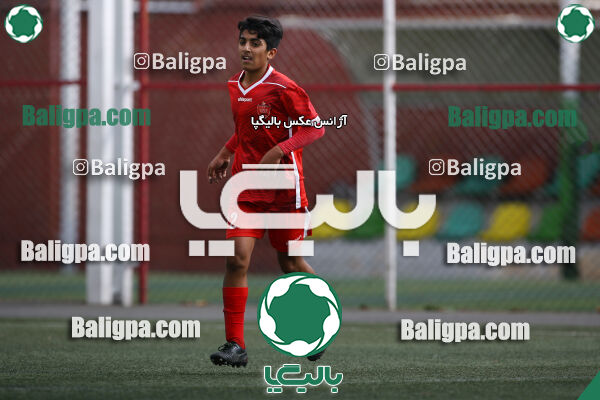 پرسپولیس 1–1 پیکان