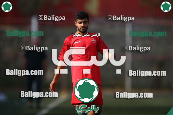 پرسپولیس 1–1 پیکان