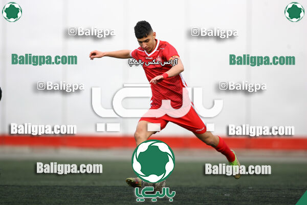 پرسپولیس 2–1 شاهین