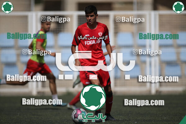 کیا 1–1 نهال شمیران
