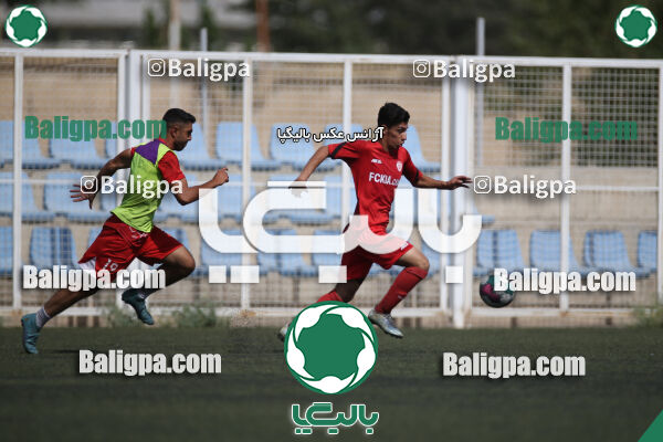 کیا 1–1 نهال شمیران