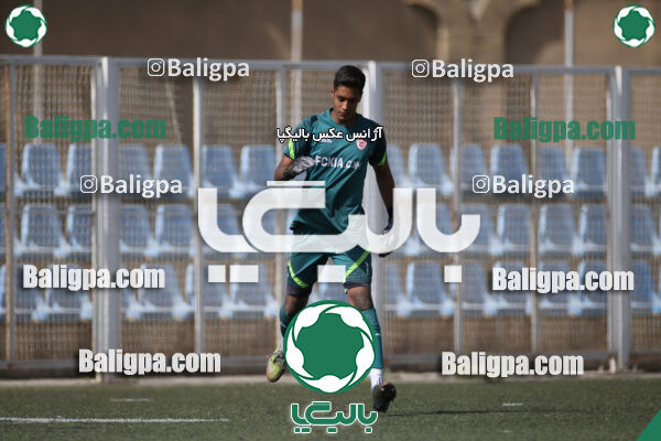 کیا 1–1 نهال شمیران