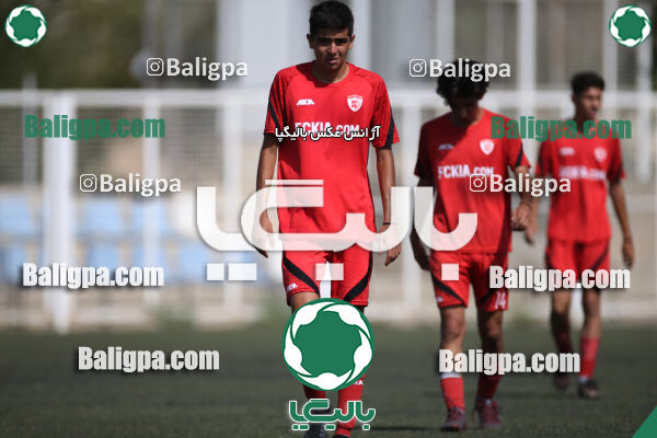 کیا 1–1 نهال شمیران