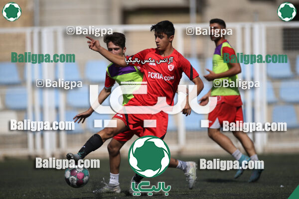 کیا 1–1 نهال شمیران