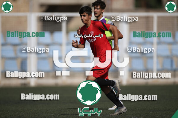 کیا 1–1 نهال شمیران