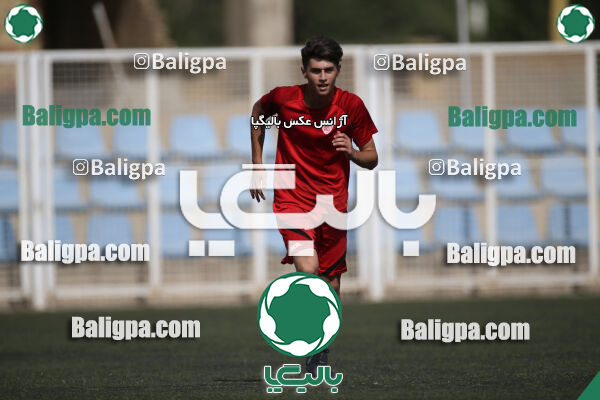 کیا 1–1 نهال شمیران