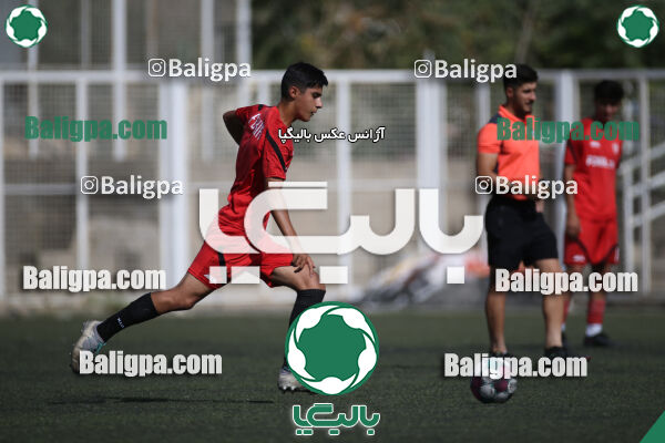 کیا 1–1 نهال شمیران