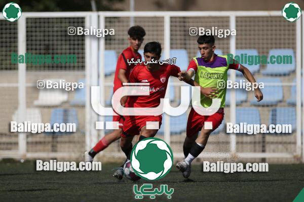 کیا 1–1 نهال شمیران