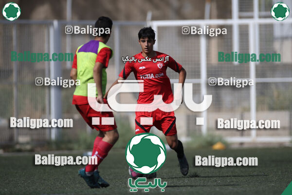 کیا 1–1 نهال شمیران