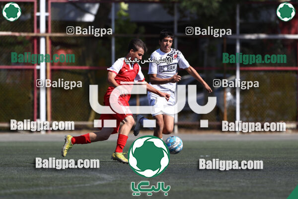 پرسپولیس 1–1 حامی