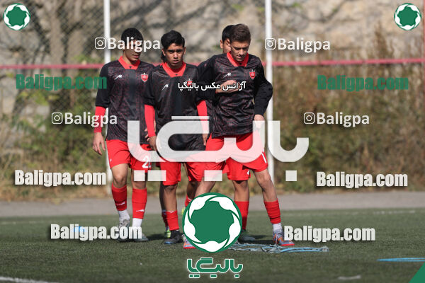 پرسپولیس 1–0 شاهین