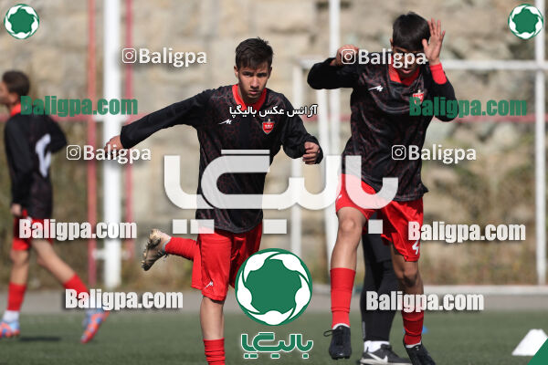 پرسپولیس 1–0 شاهین