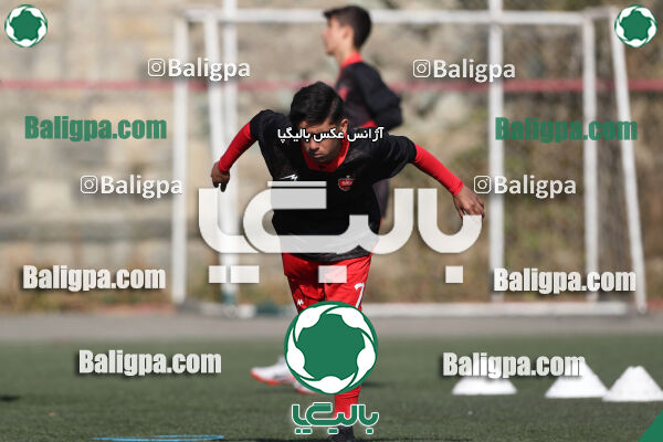 پرسپولیس 1–0 شاهین