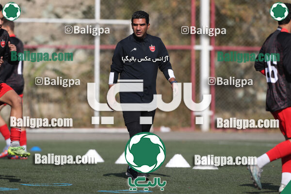 پرسپولیس 1–0 شاهین