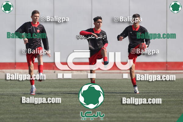 پرسپولیس 1–0 شاهین