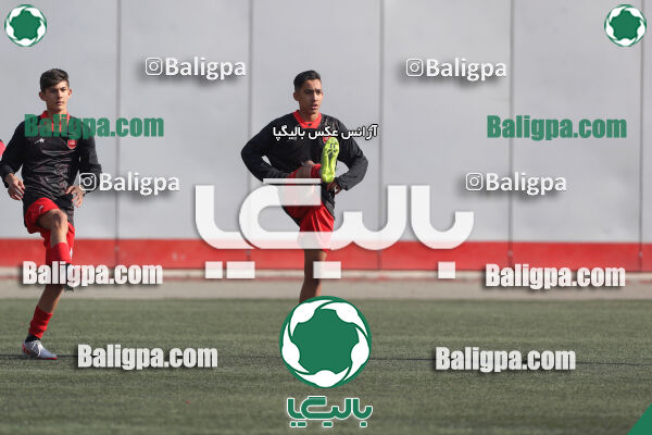 پرسپولیس 1–0 شاهین