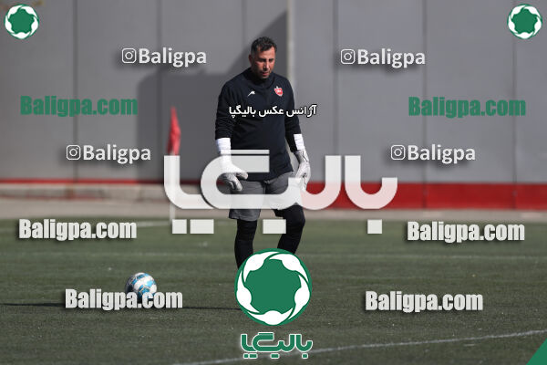 پرسپولیس 1–0 شاهین