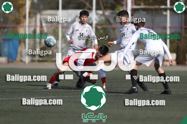 پرسپولیس 1–0 شاهین