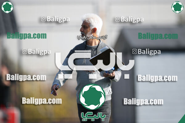 حامی 6–4 کیا