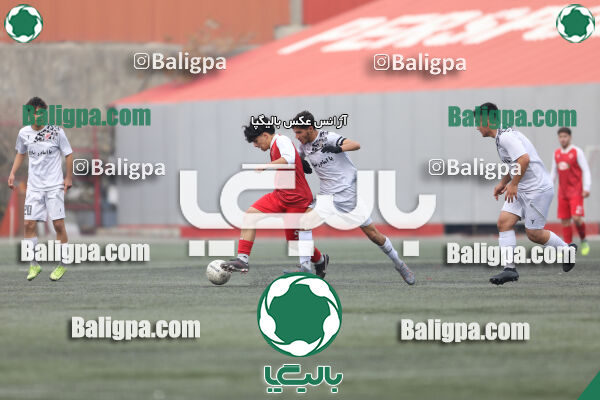 پرسپولیس 4–0 حامی