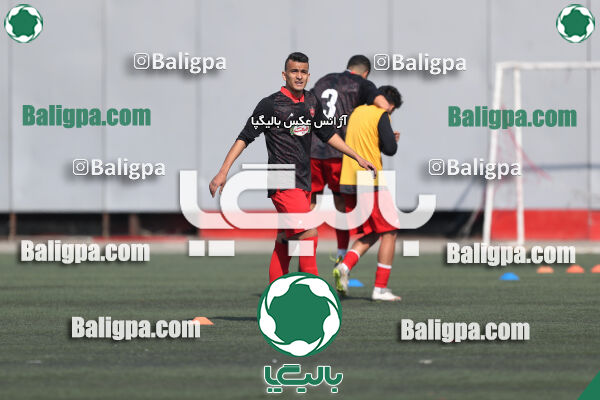 پرسپولیس 1–1 هوادار